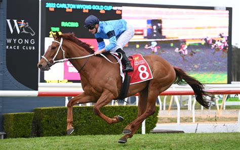 Wyong gold cup 2023  Read More »